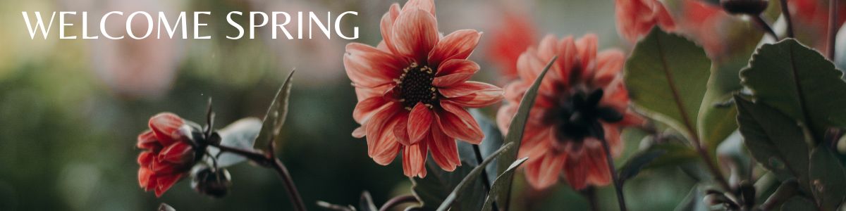 Fall Homepage